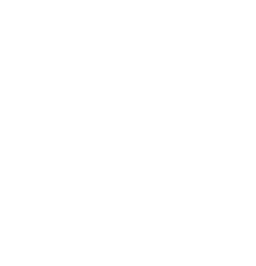 VidBolt Logo